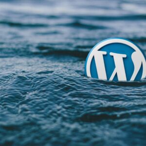 Wordpress Coaching