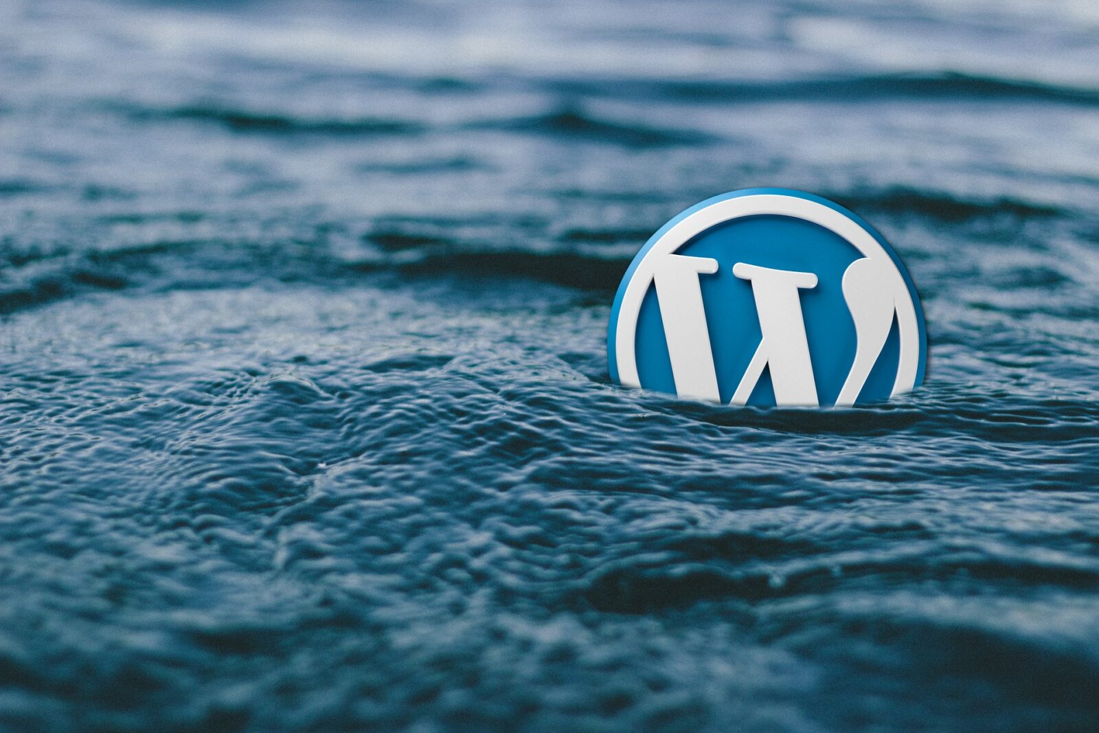 Wordpress Coaching